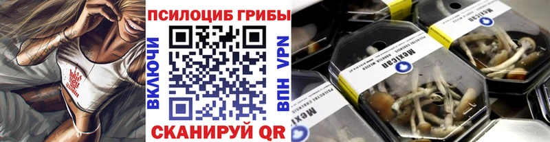 Псилоцибиновые грибы Cubensis  ОМГ ОМГ вход  Валуйки  купить закладку 