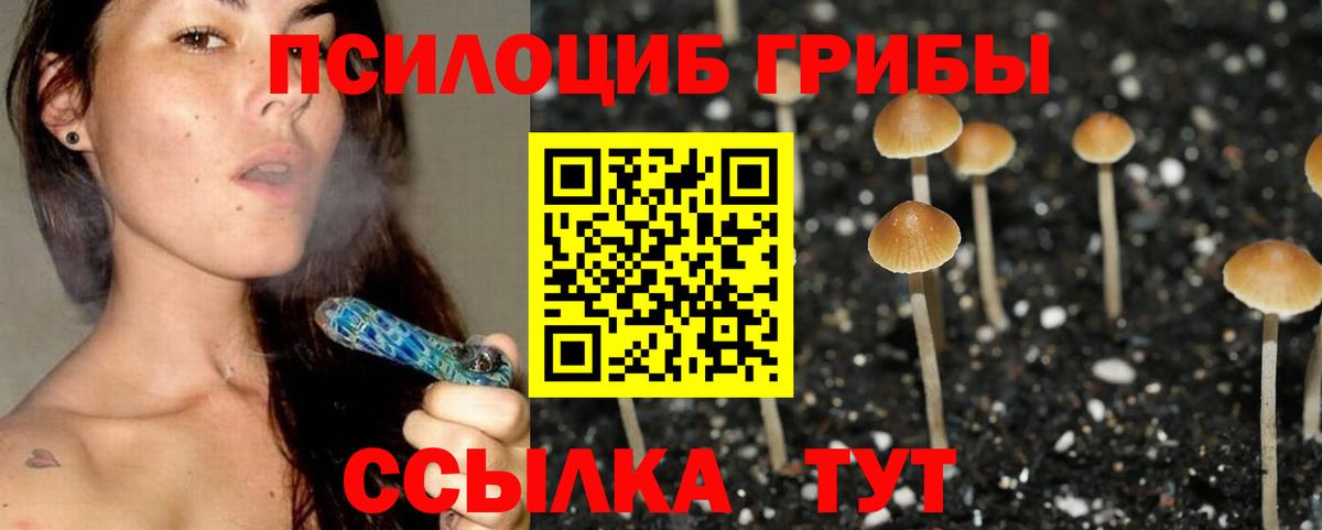 Псилоцибиновые грибы Cubensis Валуйки